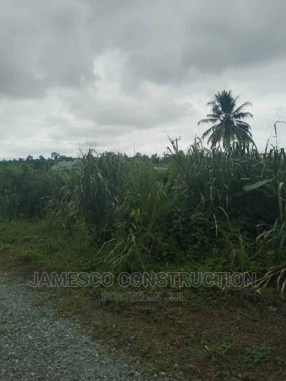 Two Plot of Land for Sale in Ayensuano