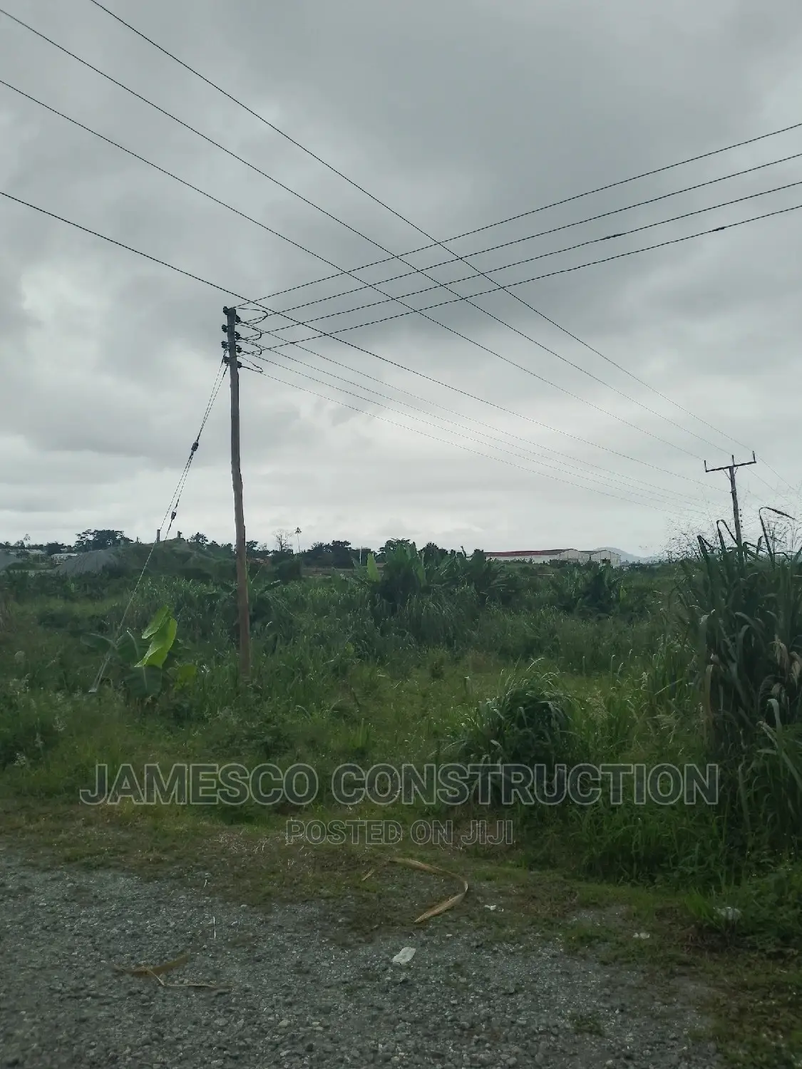 Two Plot of Land for Sale in Ayensuano