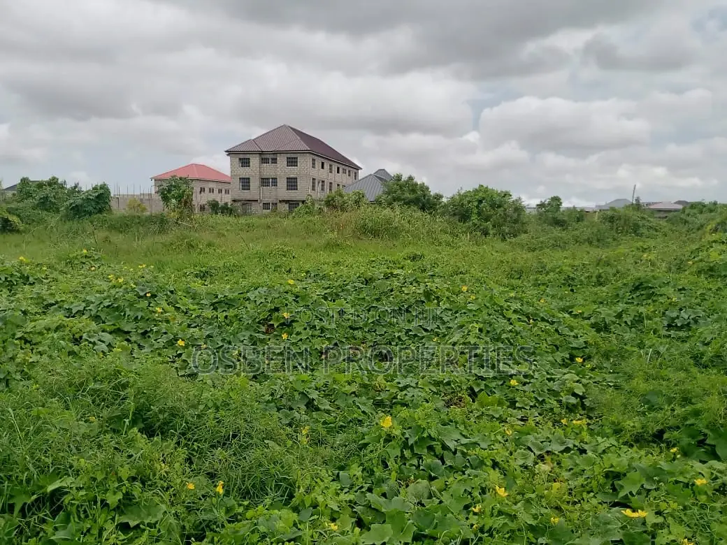 2.6 Acres Road Side Title Land For Sale in Spintex