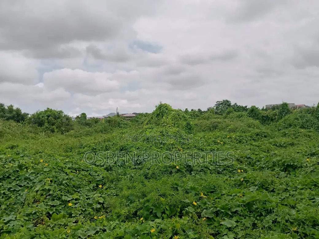 2.6 Acres Road Side Title Land For Sale in Spintex