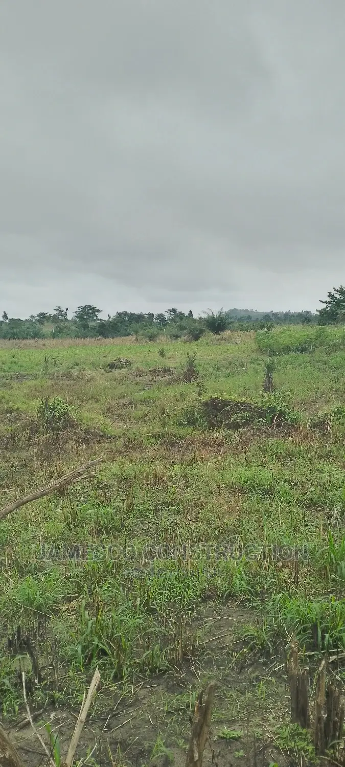 Registered Farmland for Sale in Ayensuano