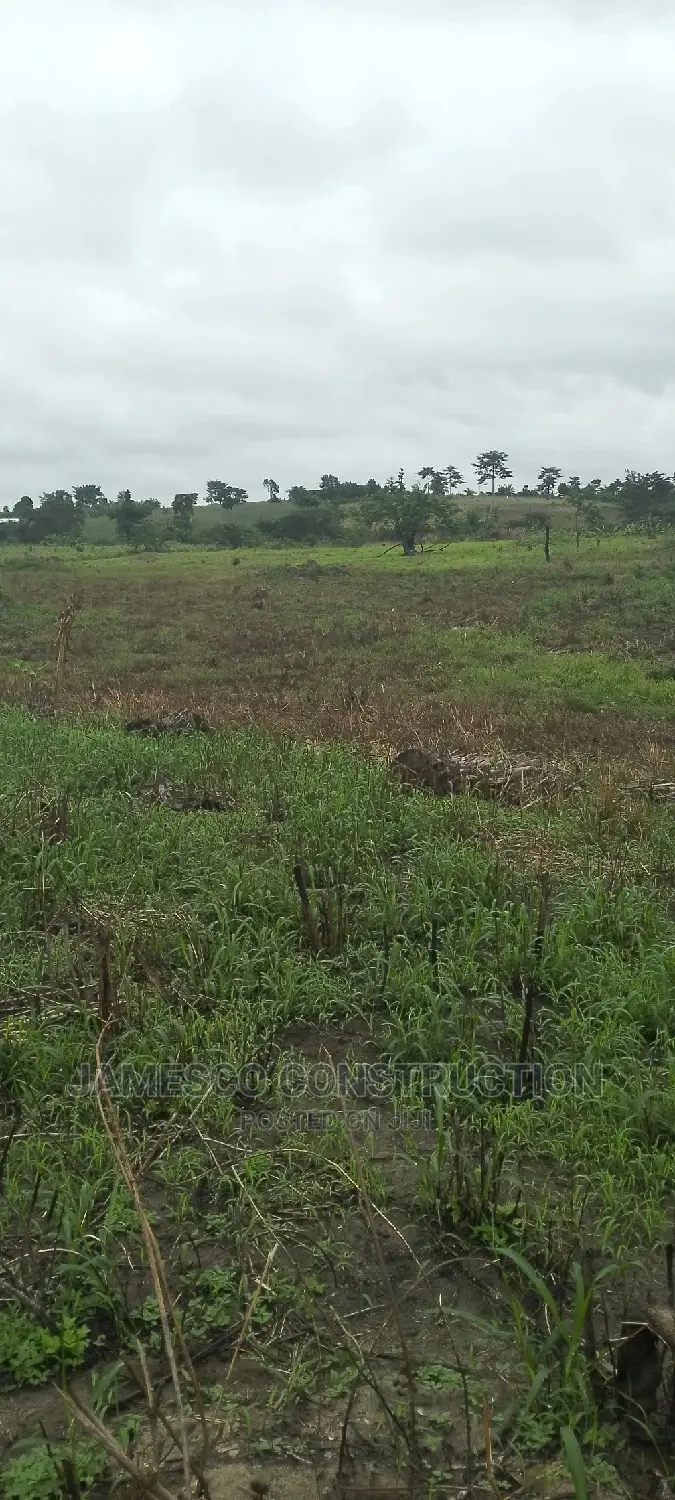 Registered Farmland for Sale in Ayensuano