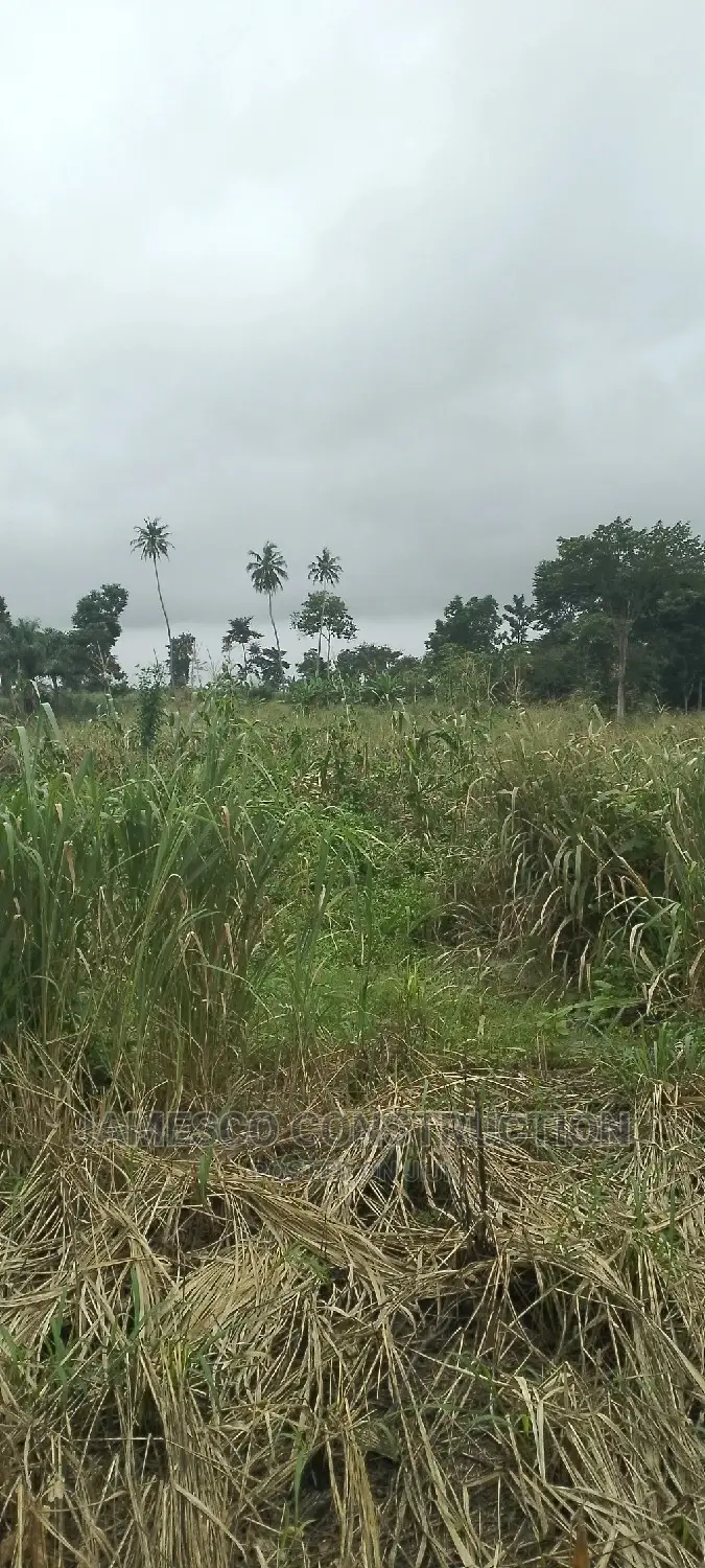Registered Farmland for Sale in Ayensuano