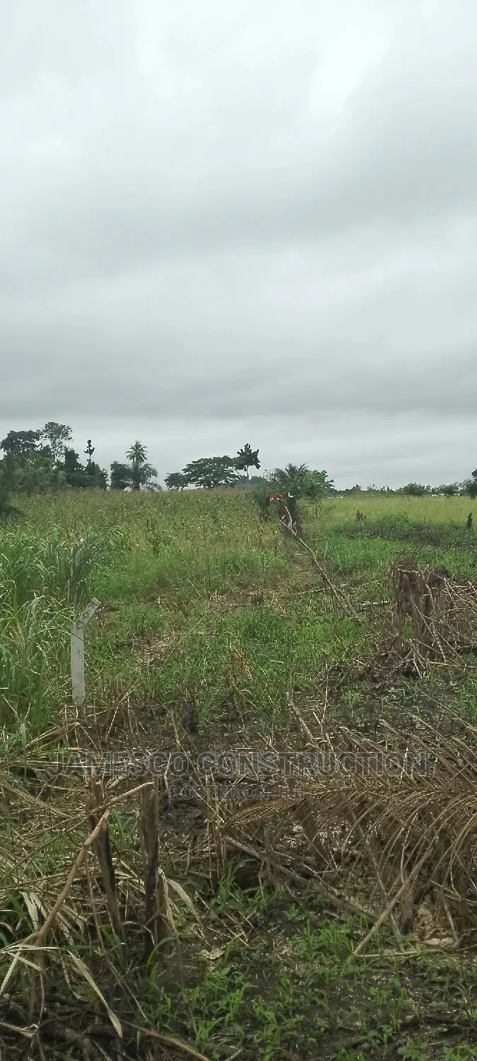 Registered Farmland for Sale in Ayensuano