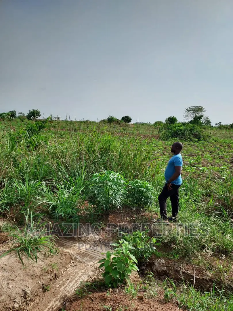 50 Acres of Land for Sale at Juapong in Asuogyaman
