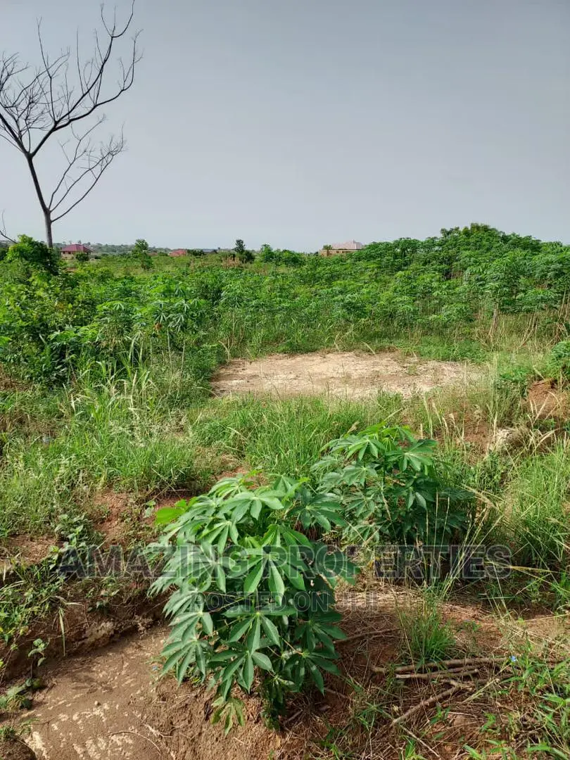 50 Acres of Land for Sale at Juapong in Asuogyaman