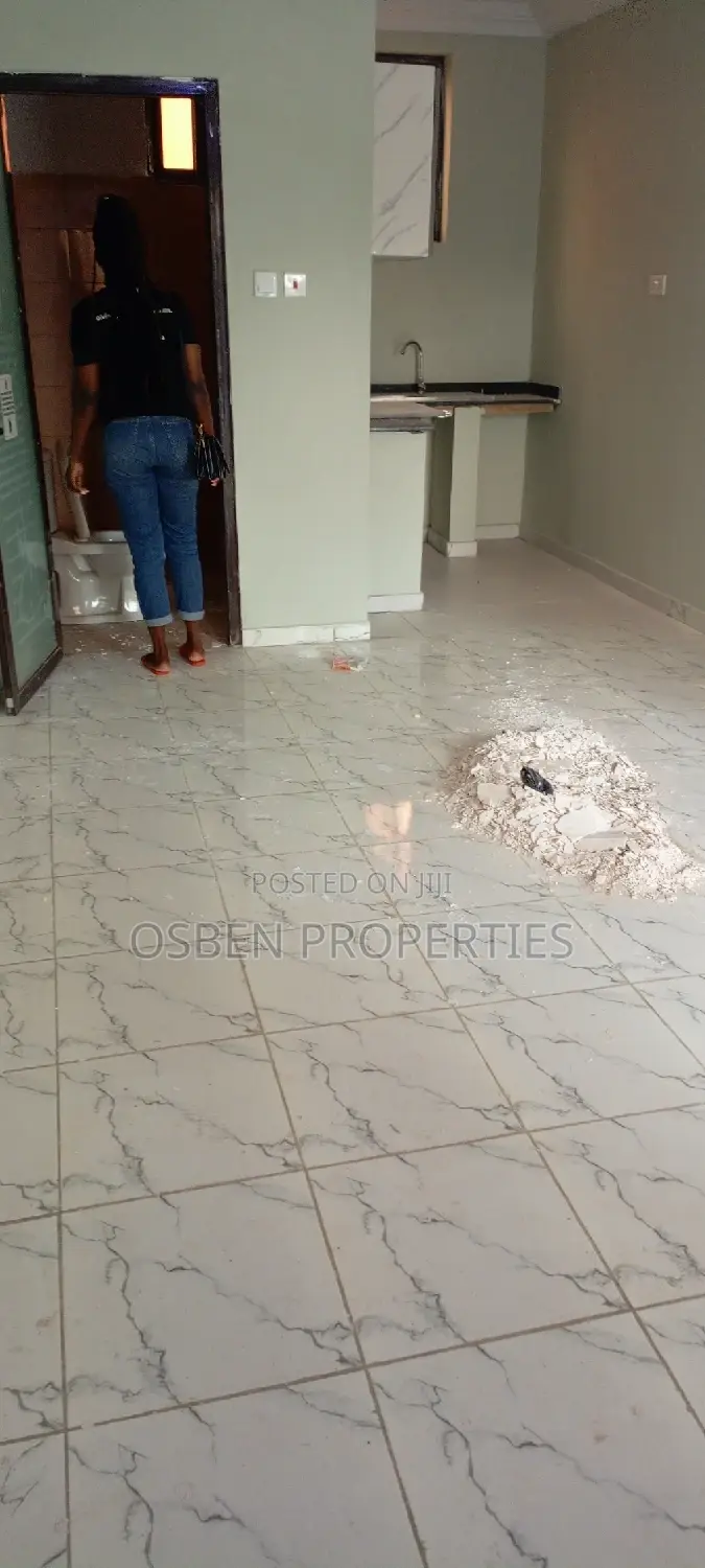 1bdrm Apartment in Pleasant Properties, Lashibi for rent in Lashibi