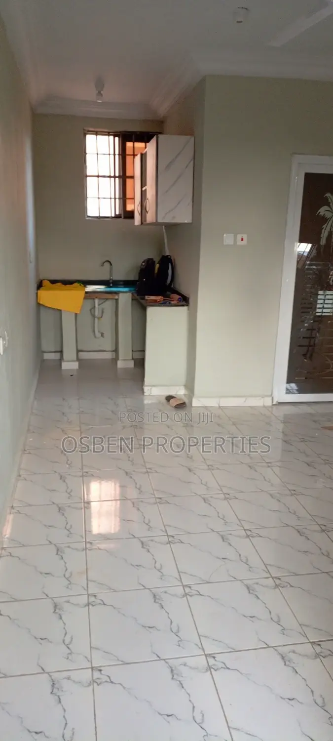 1bdrm Apartment in Pleasant Properties, Lashibi for rent in Lashibi