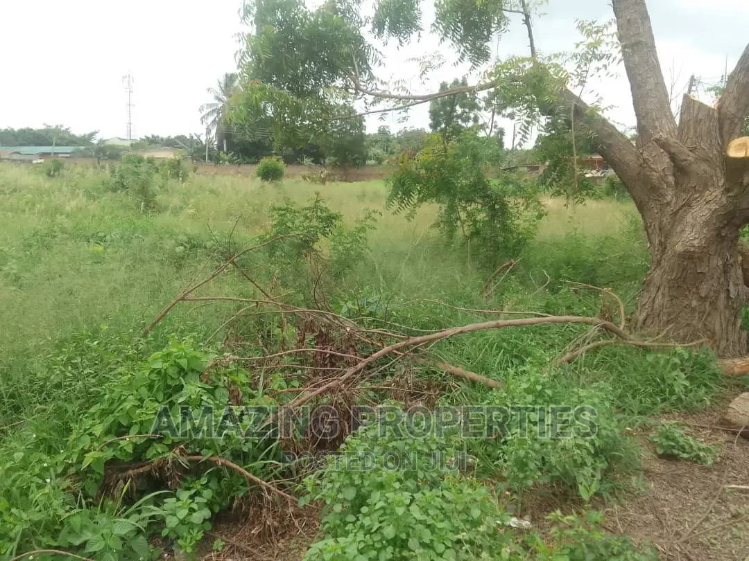 One and Half Plots Titled Land and Intact Documents Labone in Labone
