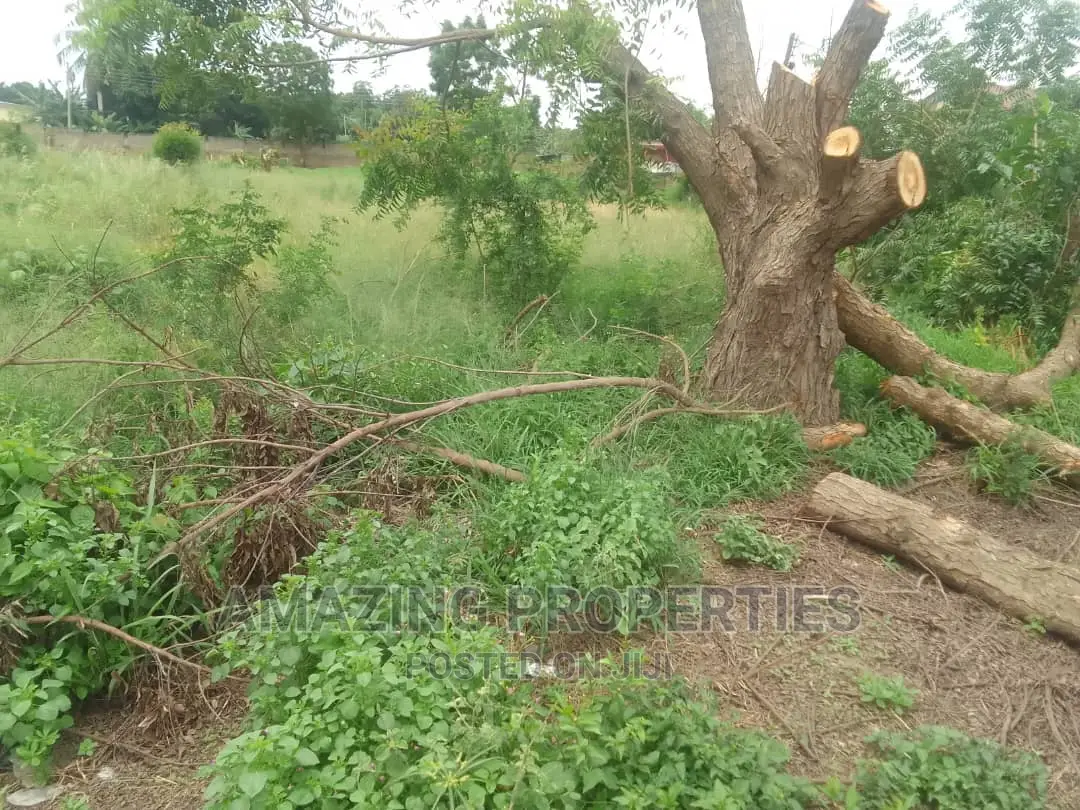 Two Plots of Titled Land Intact Documents Sprintex Near Dvla in Spintex