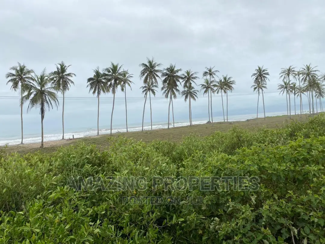 100 Acres of Land and Intact Documents Winneba in Effutu Municipal