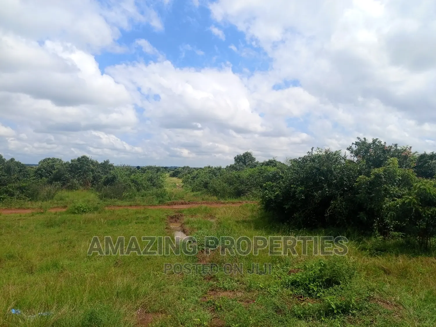 40 Acres Farm Land at Nsawam in Akuapim North