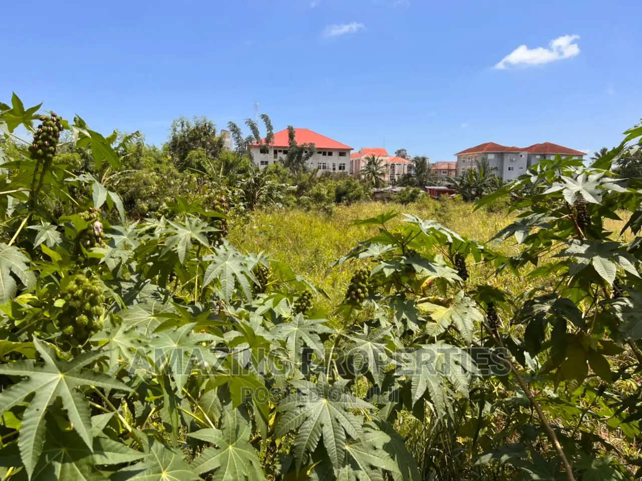 5.5 Plots of Land for Sale at Tema Community 25 in Tema Metropolitan