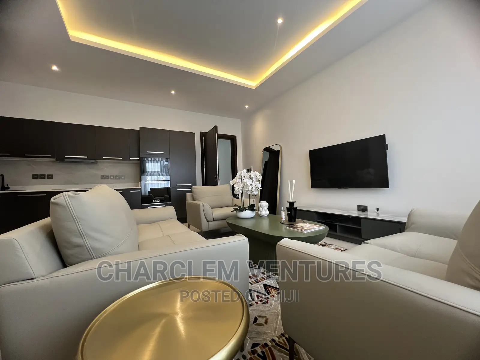 Furnished 1bdrm Apartment in Charclem Ventures, Cantonments for rent in Cantonments