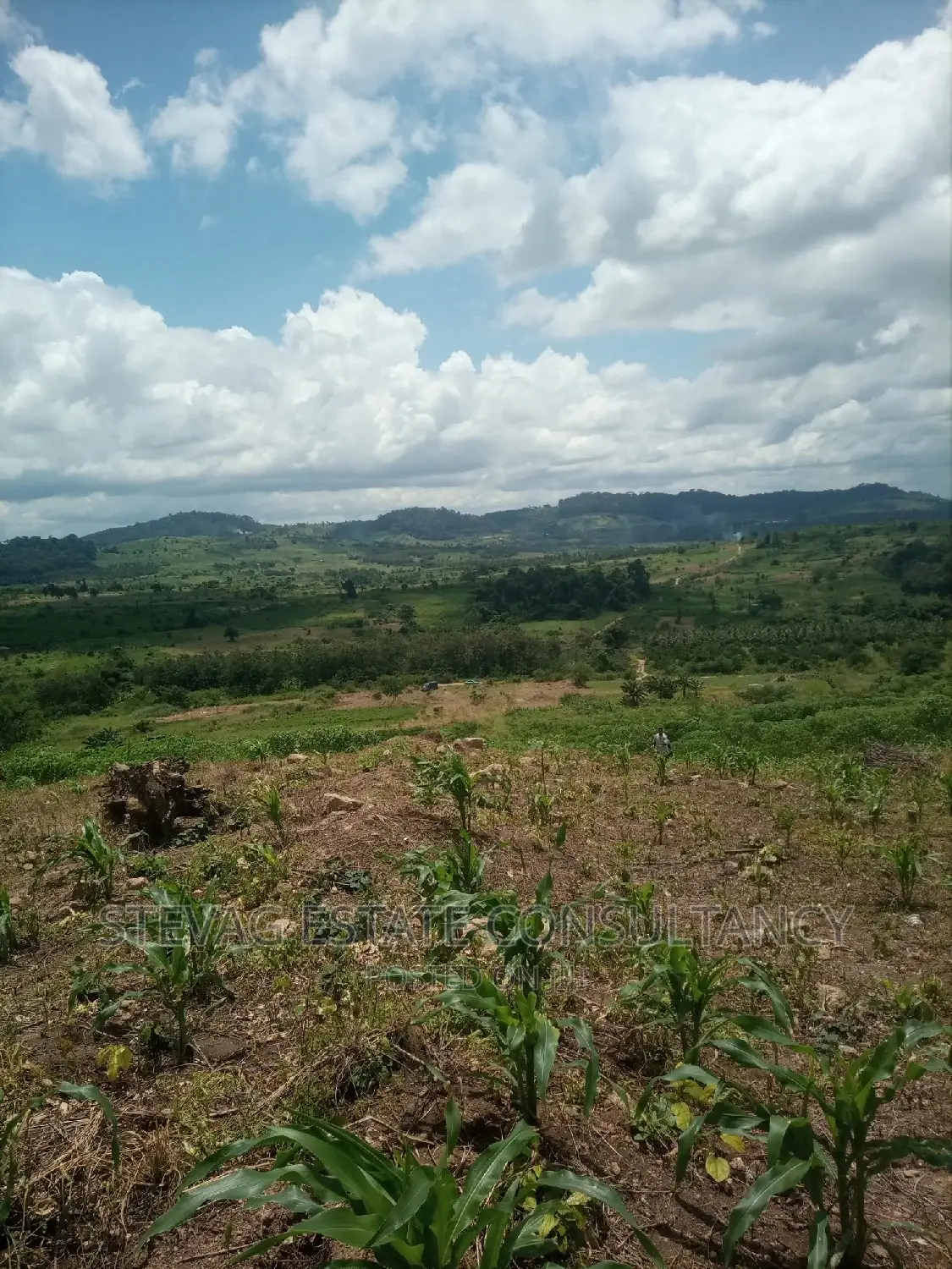 Alpha Properties Estate Land for Sale at Amasaman Obom Ashifla in Ga South Municipal