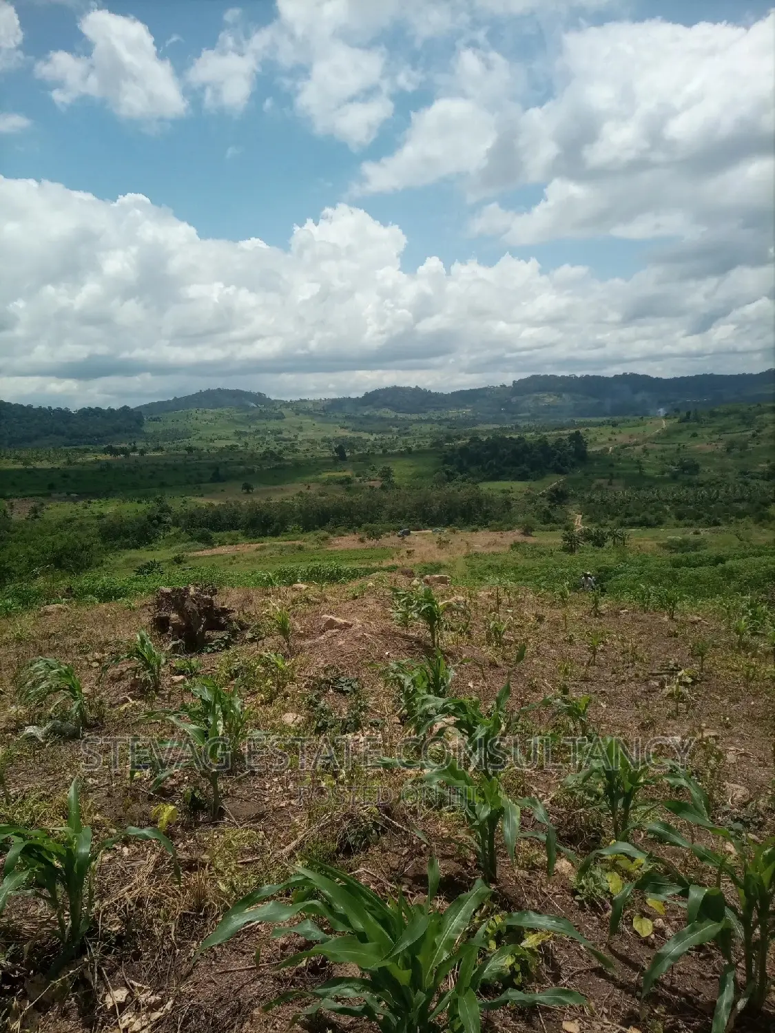 Alpha Properties Estate Land for Sale at Amasaman Obom Ashifla in Ga South Municipal