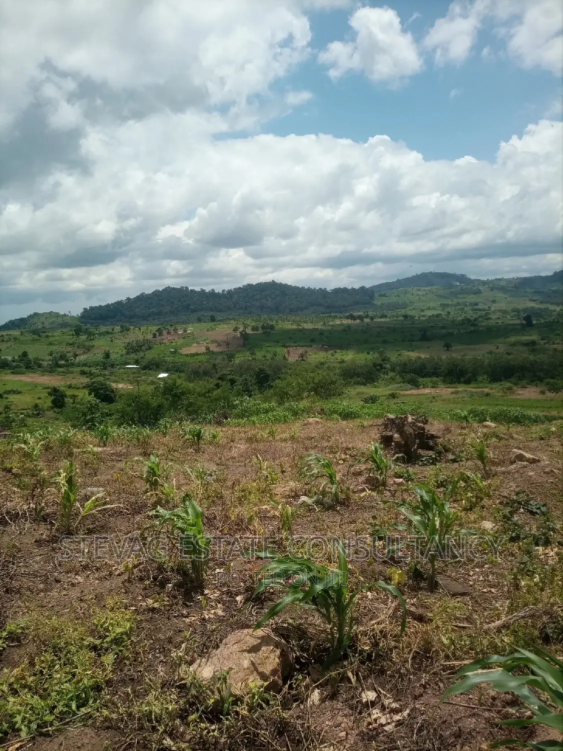 Alpha Properties Estate Land for Sale at Amasaman Obom Ashifla in Ga South Municipal