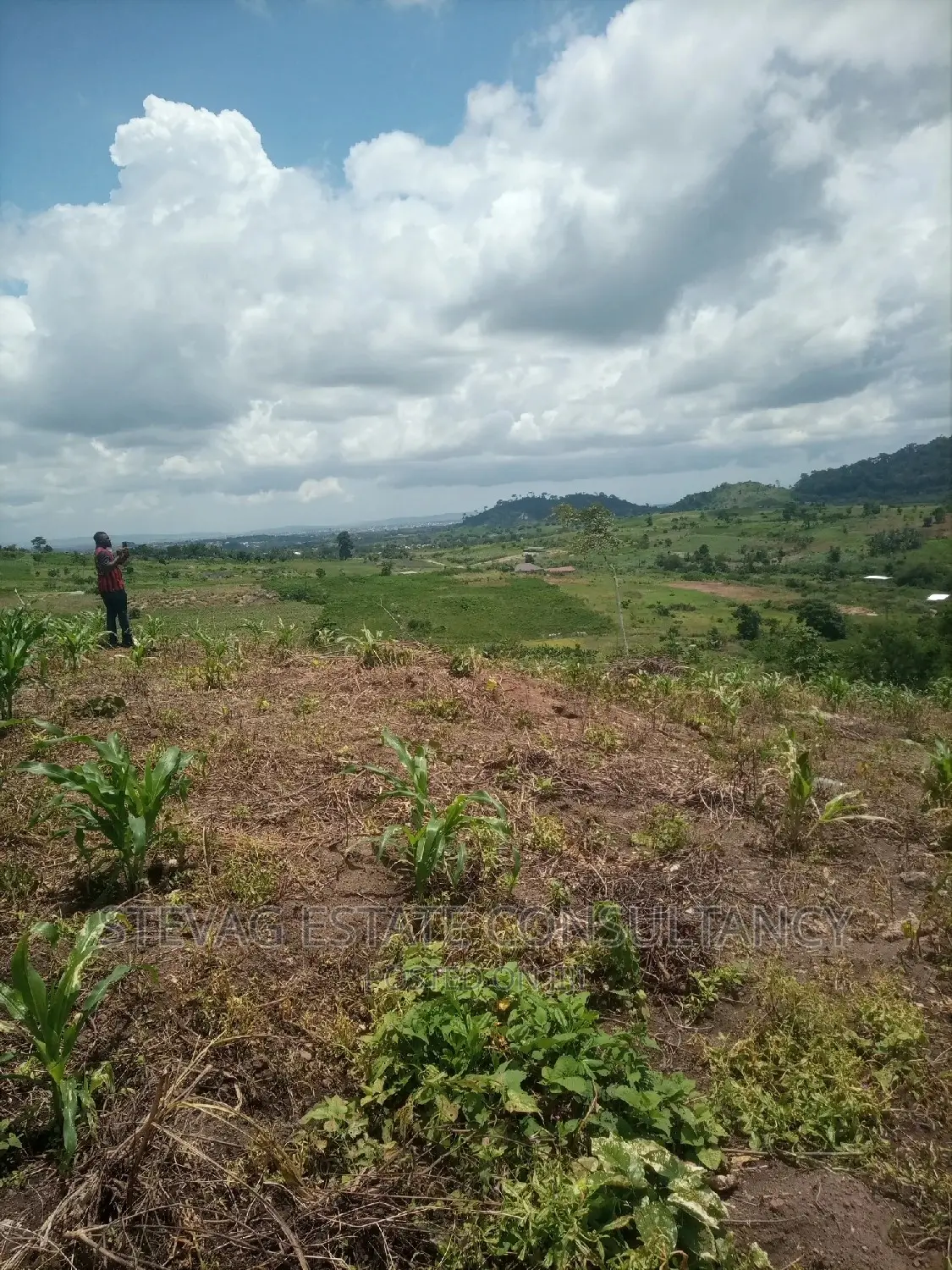 Alpha Properties Estate Land for Sale at Amasaman Obom Ashifla in Ga South Municipal