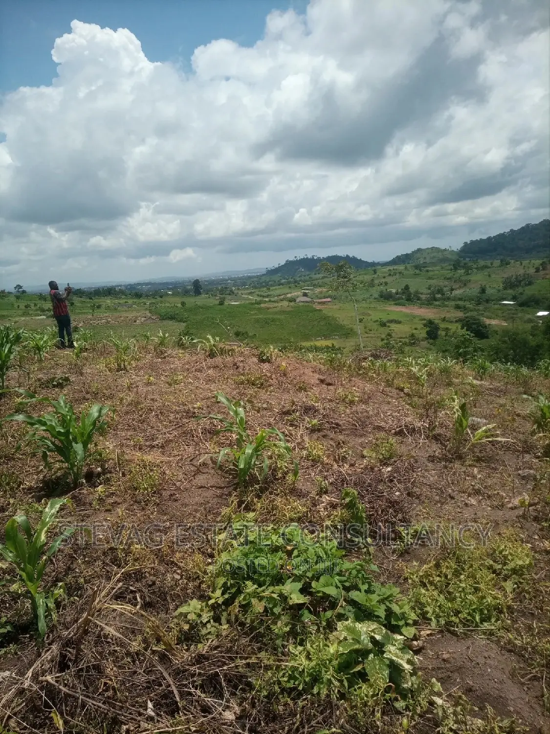 Alpha Properties Estate Land for Sale at Amasaman Obom Ashifla in Ga South Municipal