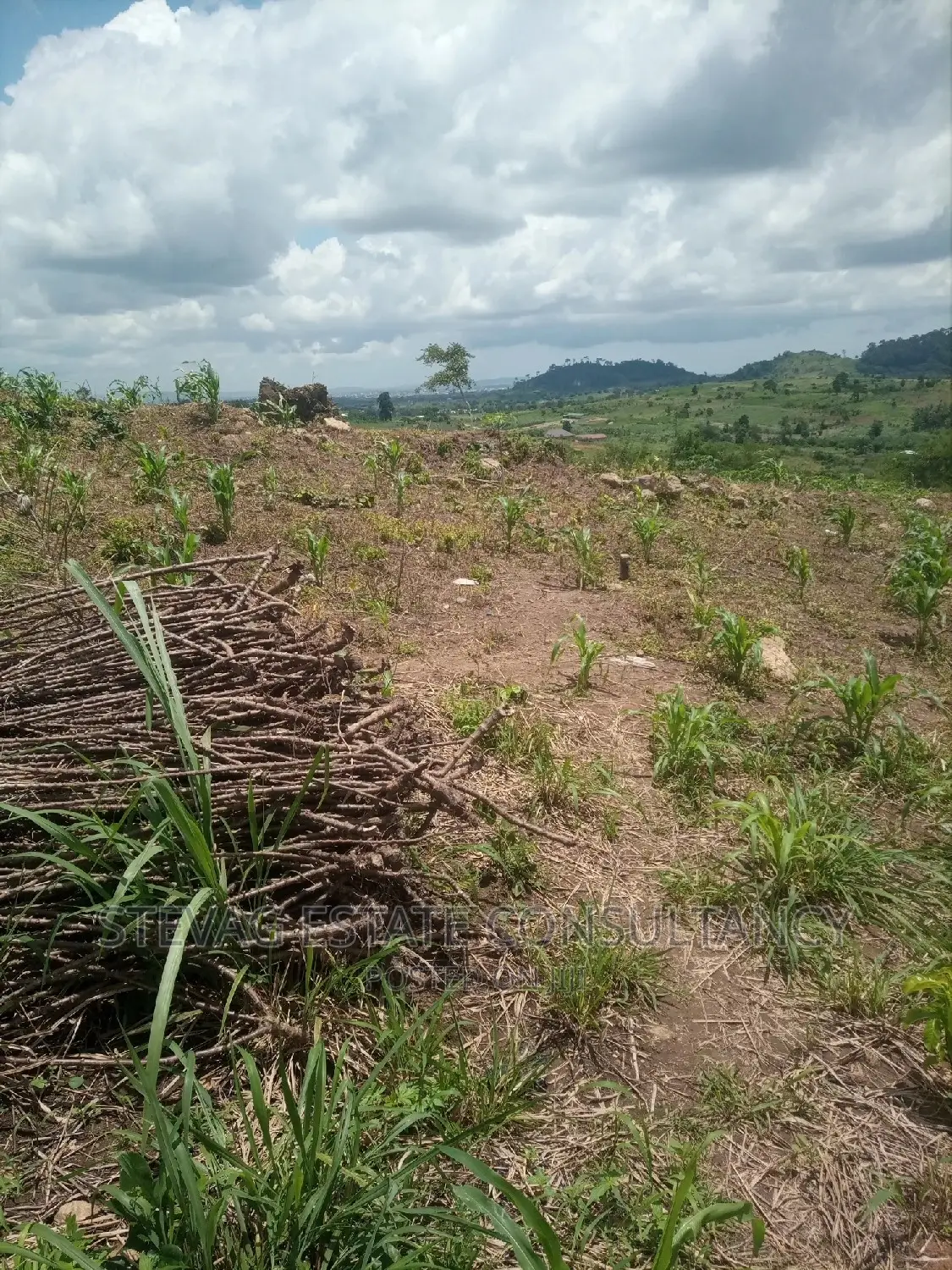 Alpha Properties Estate Land for Sale at Bawjiase Tta in Kasoa