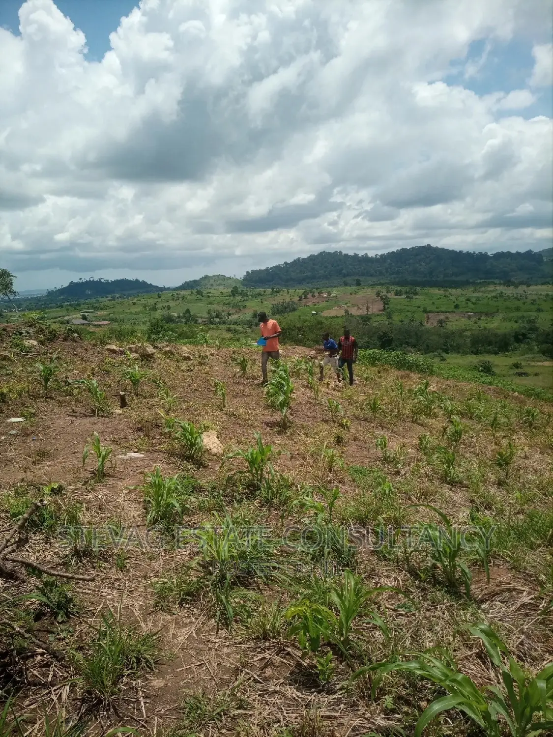 Alpha Properties Estate Land for Sale at Bawjiase Tta in Kasoa