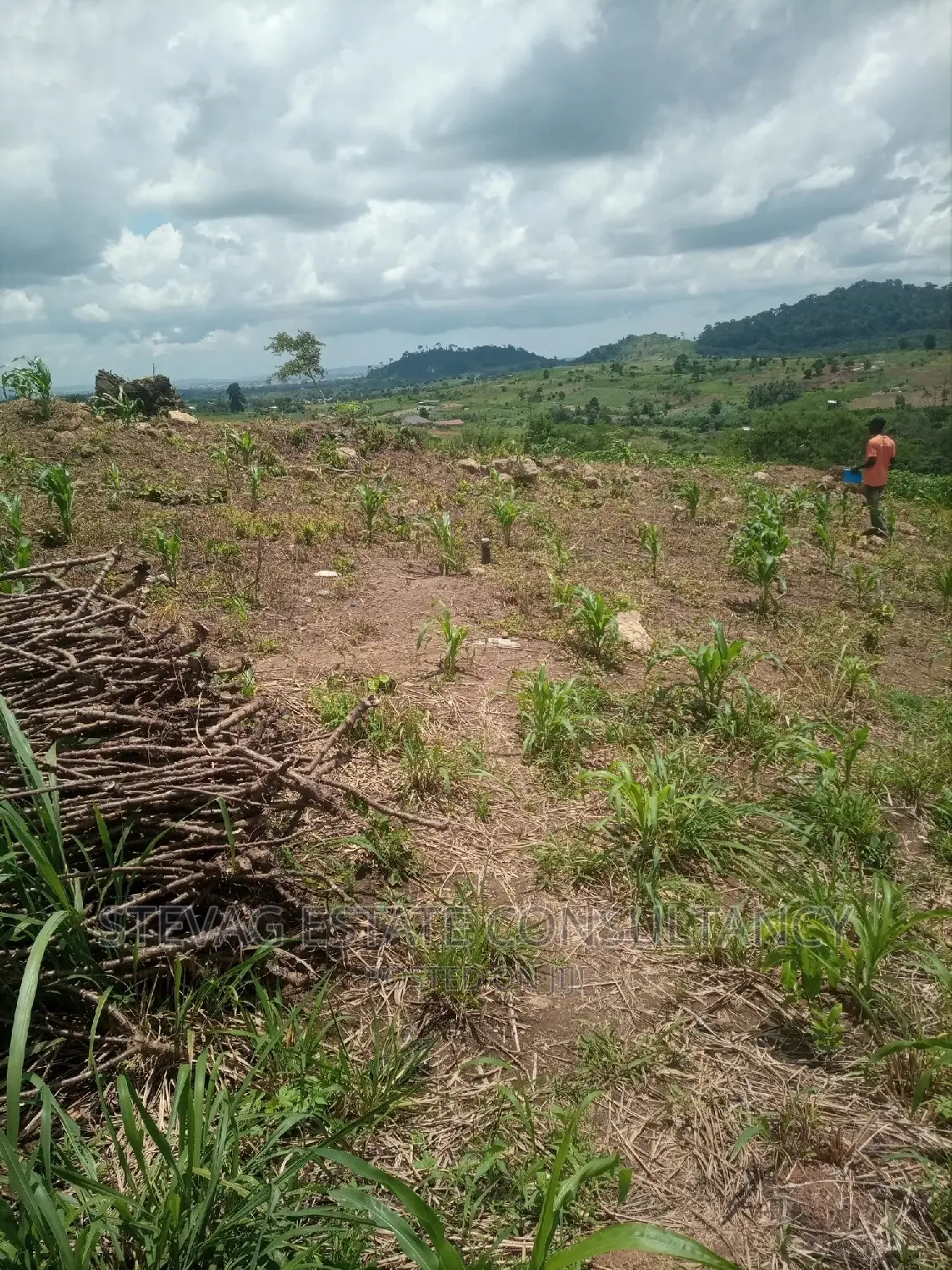 Alpha Properties Estate Land for Sale at Bawjiase Tta in Kasoa