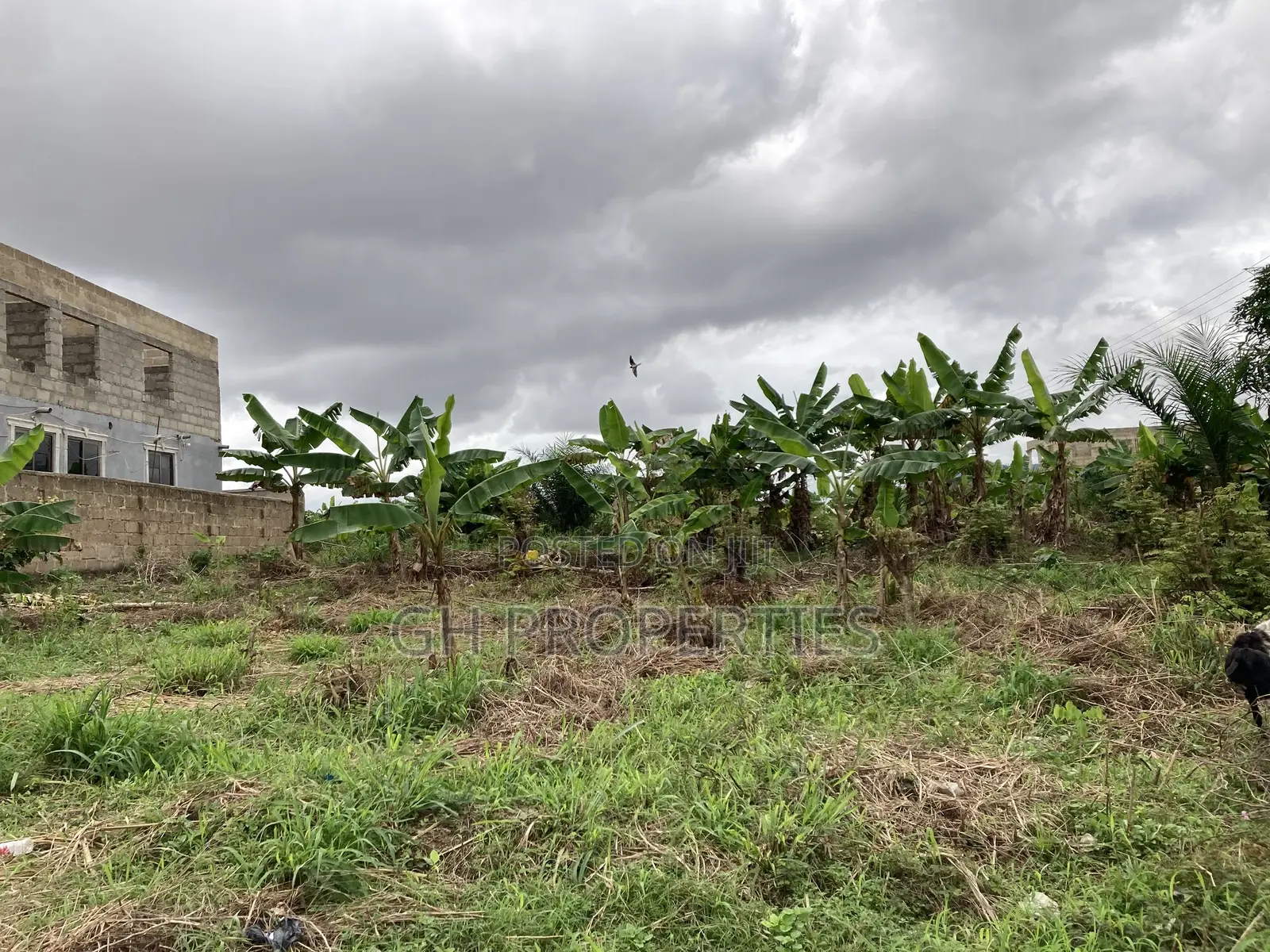 One Full Plot for Sale at Kaase Oti. in Kumasi Metropolitan