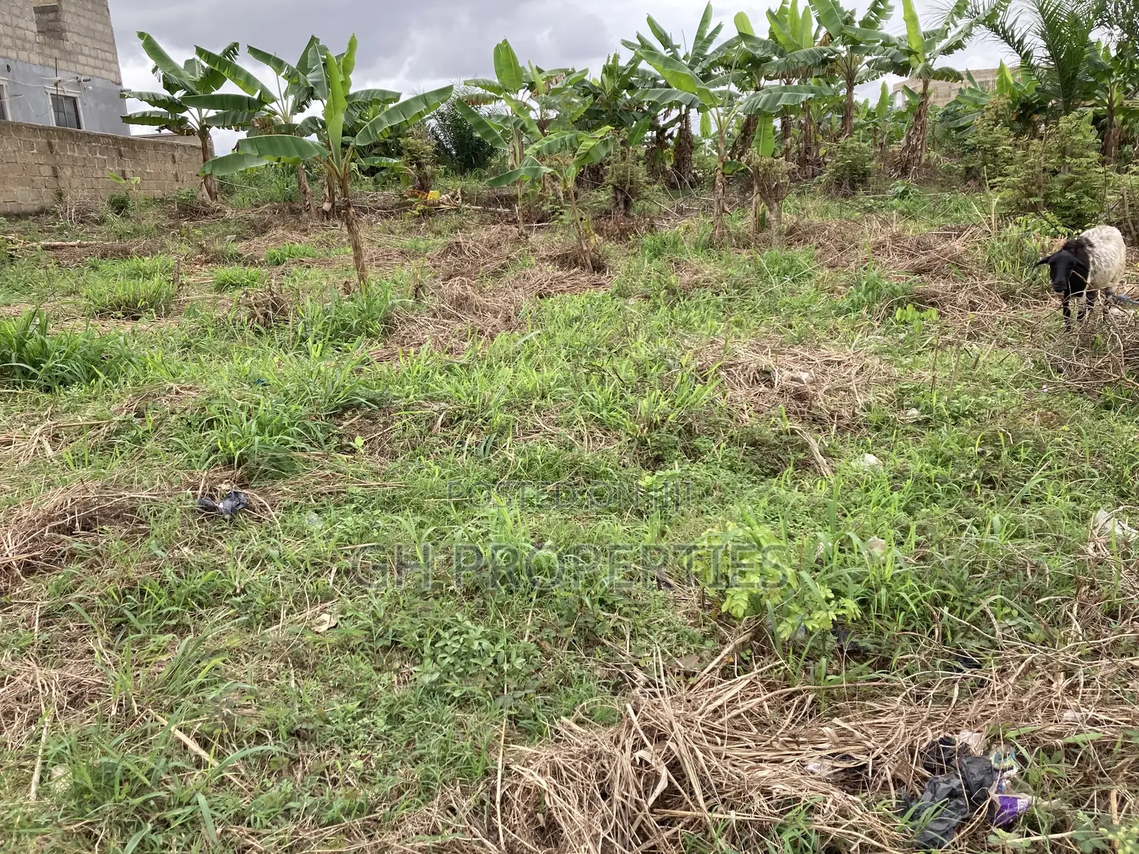 One Full Plot for Sale at Kaase Oti. in Kumasi Metropolitan