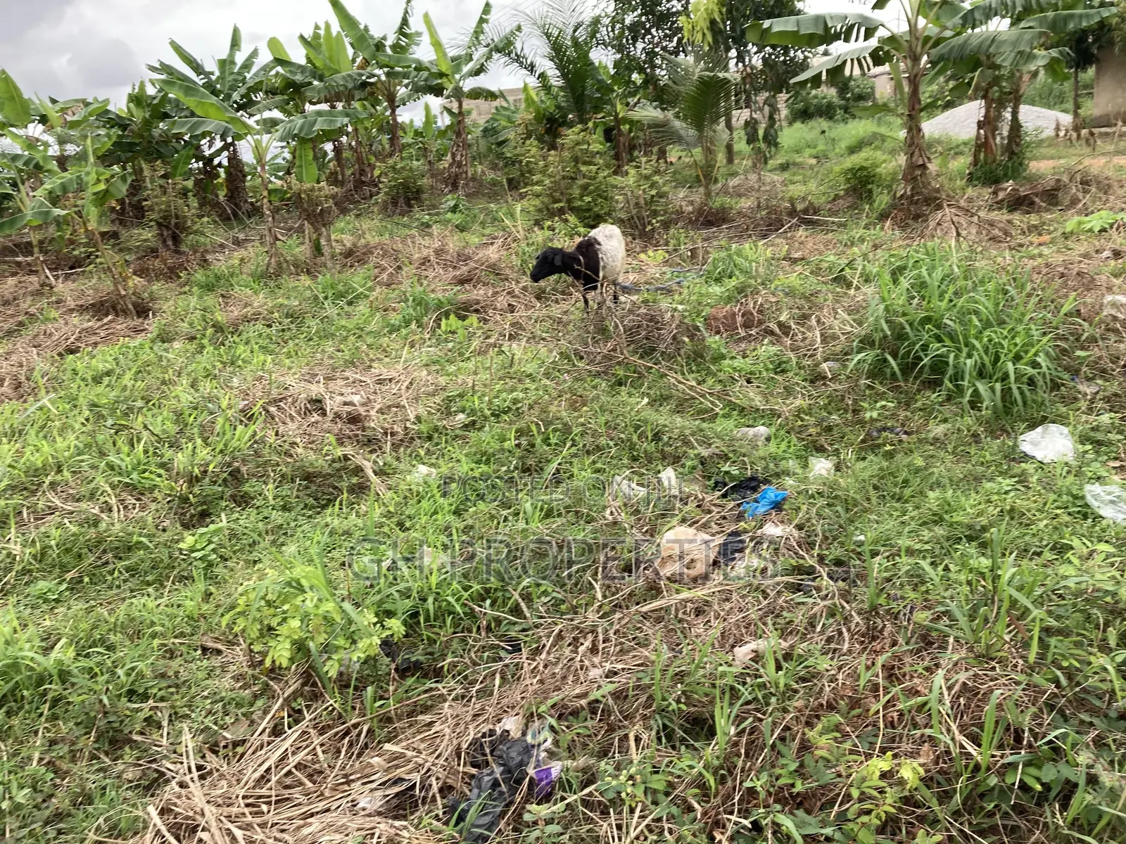 One Full Plot for Sale at Kaase Oti. in Kumasi Metropolitan