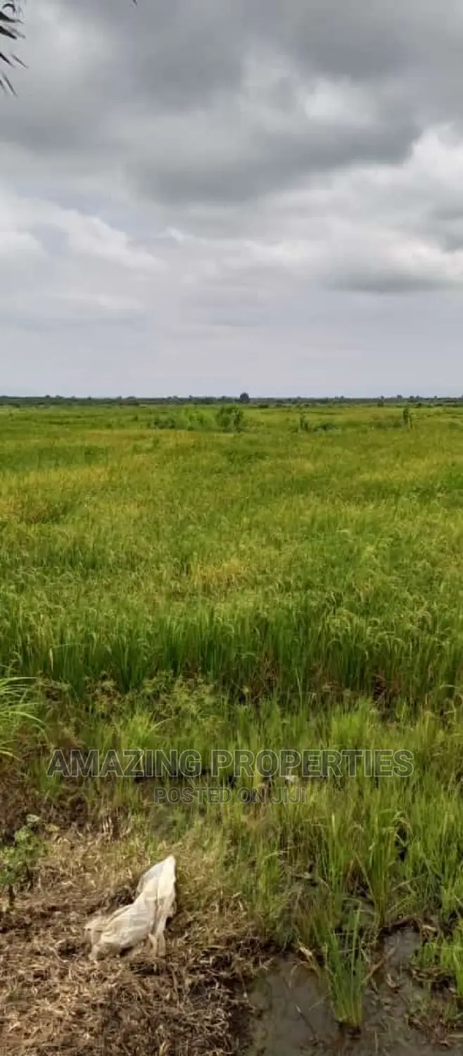 Acres of Land at Juapong in Danfa