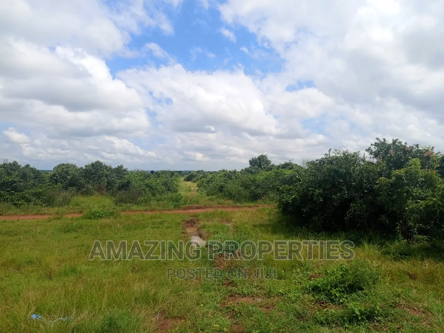 1000 Acres of Land at Akosombo in Asuogyaman