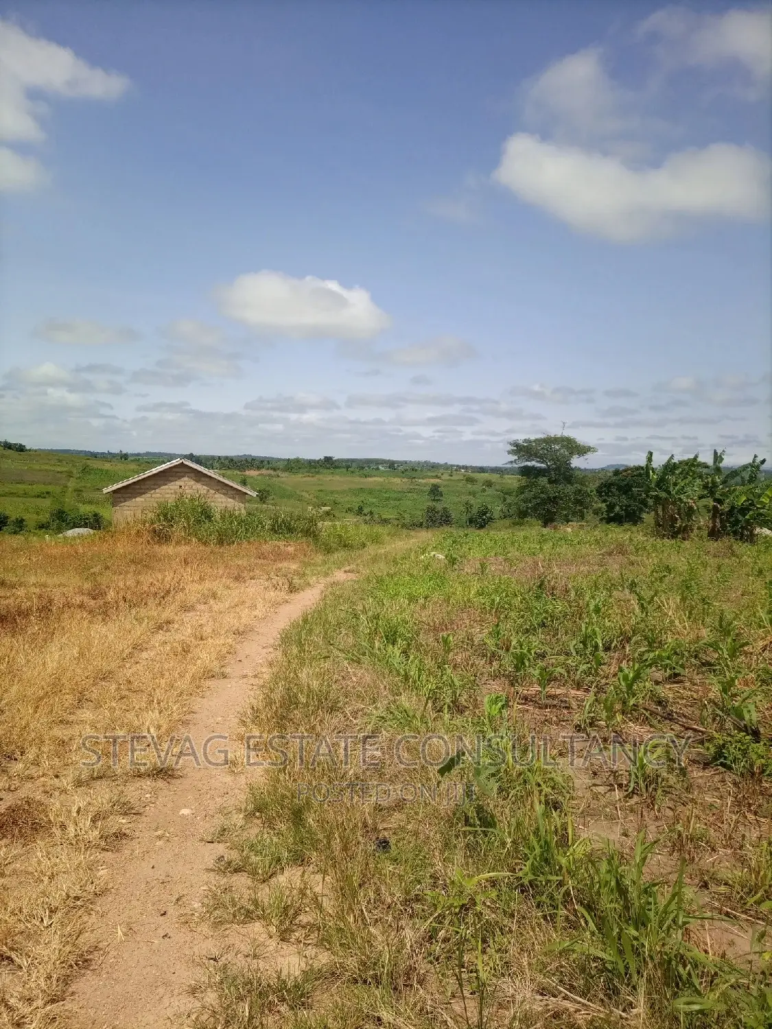 Alpha Properties Land for Sale at Nsawam Ayibontey in Akuapim South