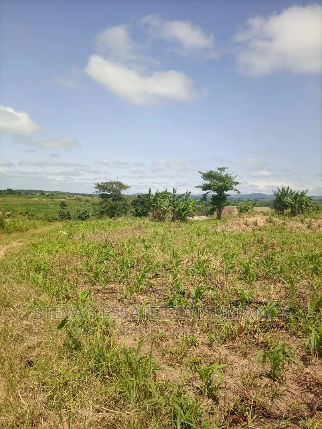Alpha Properties Land for Sale at Nsawam Ayibontey in Akuapim South
