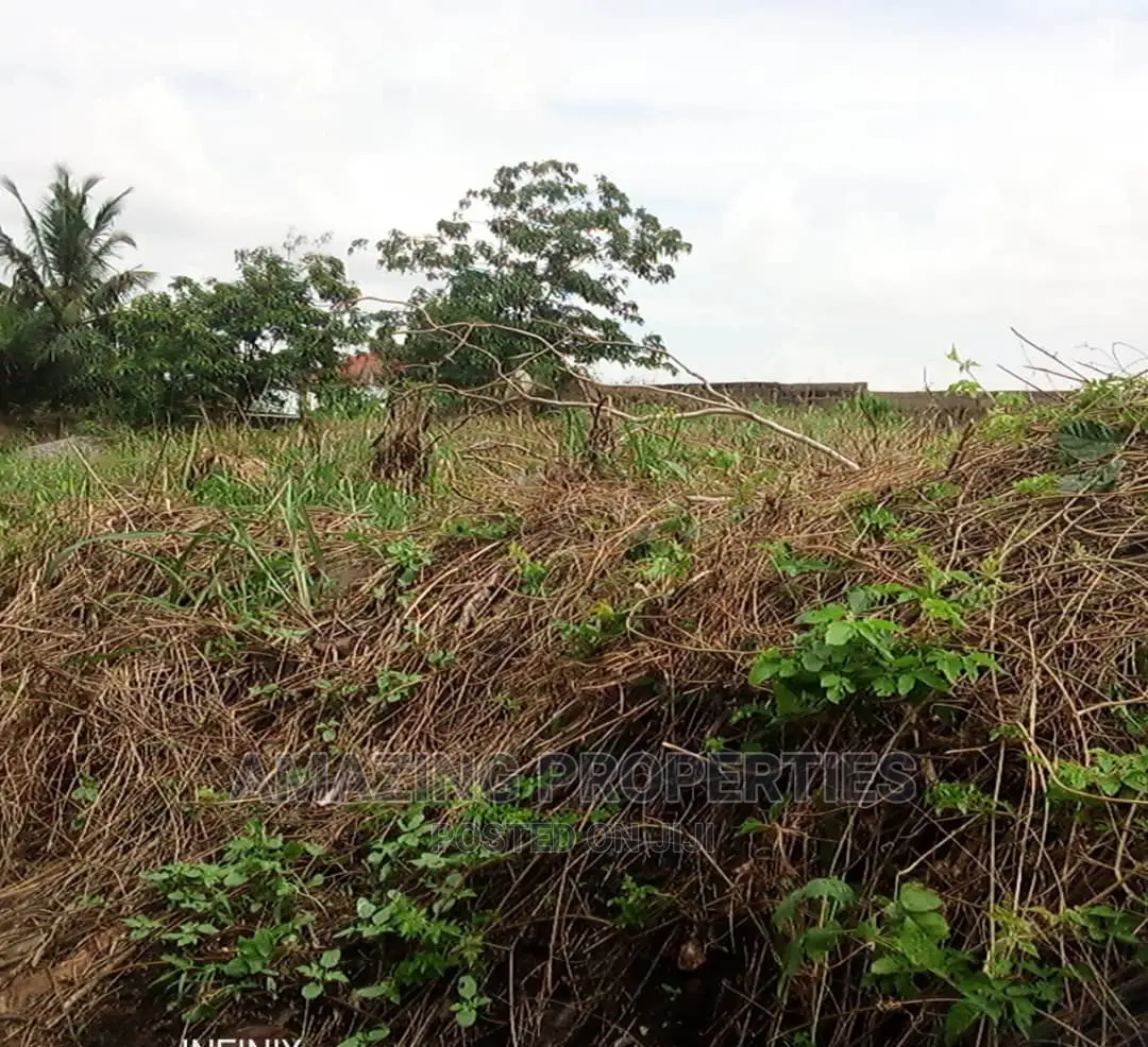 A Plot of Land for Sale at Teshie -Nungua in Teshie-Nungua Estates