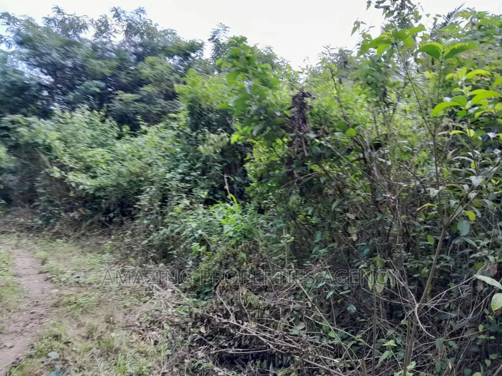 6000acres Land for Sale Asamankese Quashi Per Acre GHC 9000 in Akuapim South