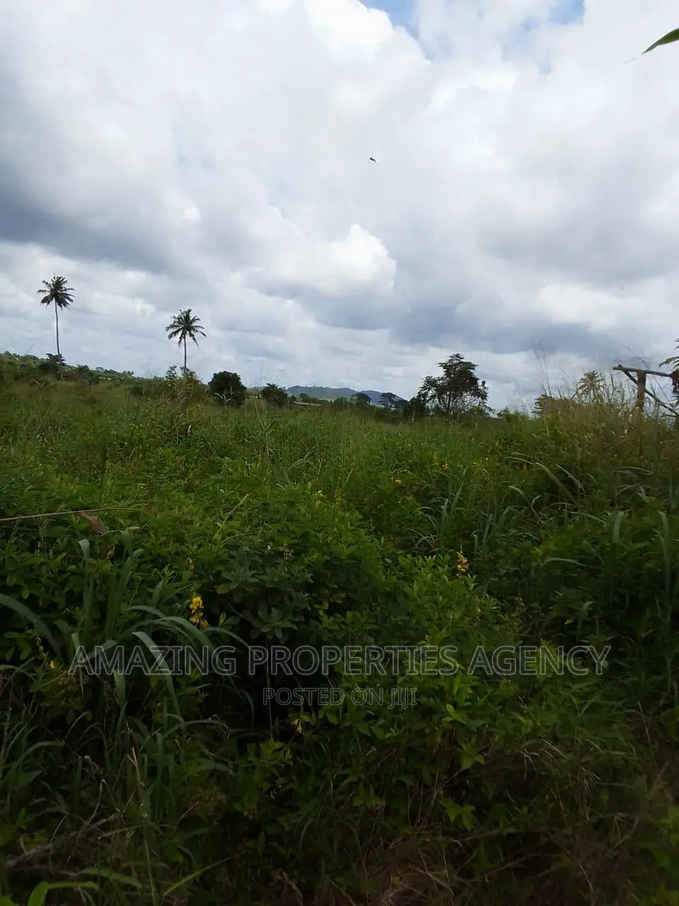 10000 Acres of Farmland at Asutware in Dodowa