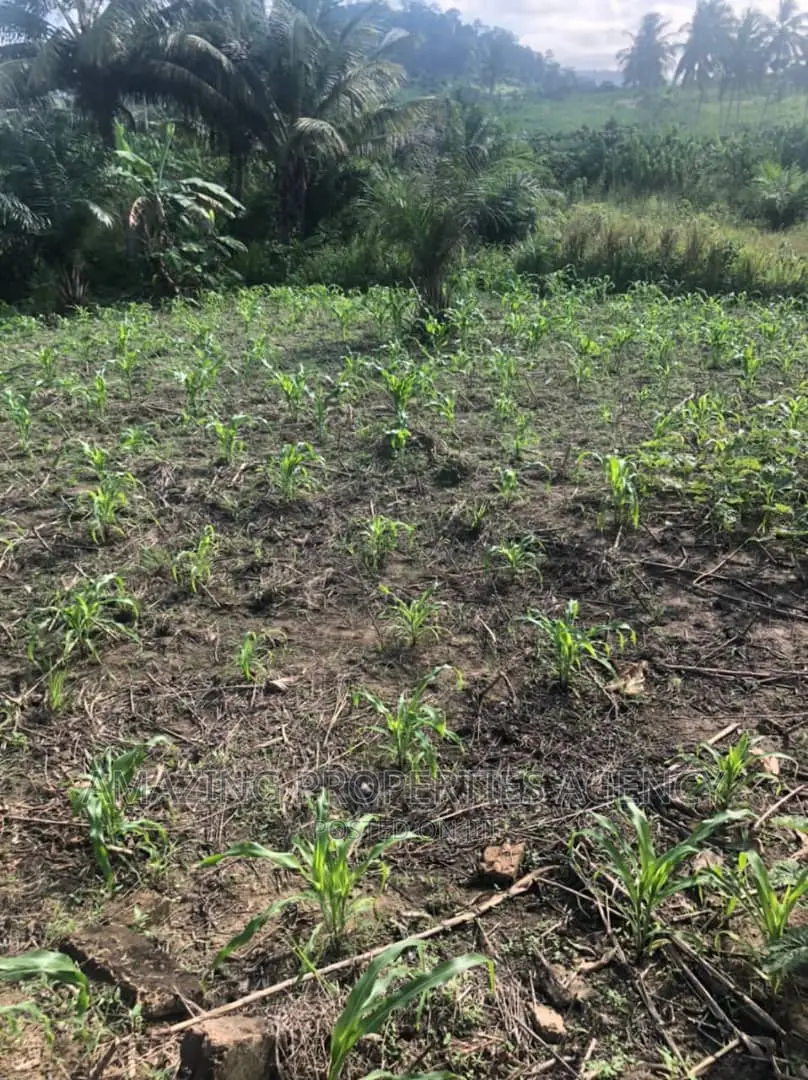 1000 Acres of Land at Bajwiase Awutu in East Legon