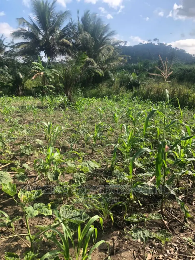 1000 Acres of Land at Bajwiase Awutu in East Legon