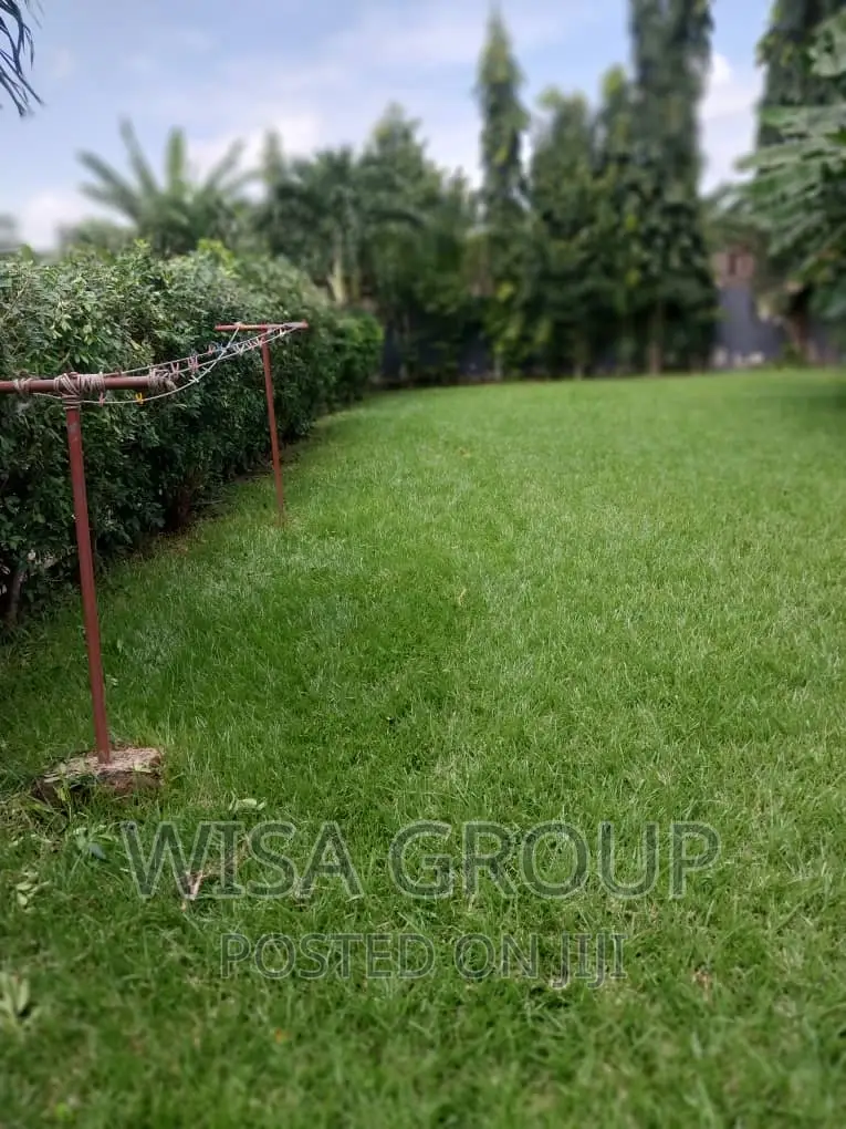 3bdrm House in Wisa Groups, Accra Metropolitan for rent in Accra Metropolitan