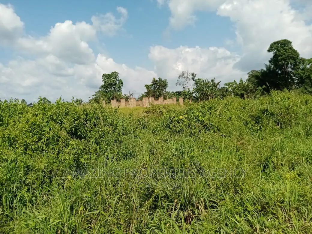 3 Plots of Land for Sale at Ayi Mensah in Aburi