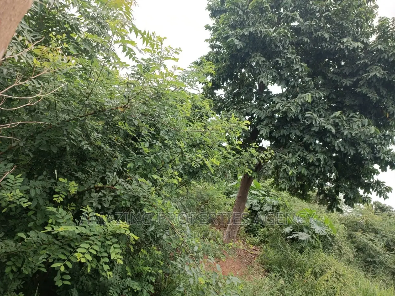 4 Acres of Land at North Legon in North Legon
