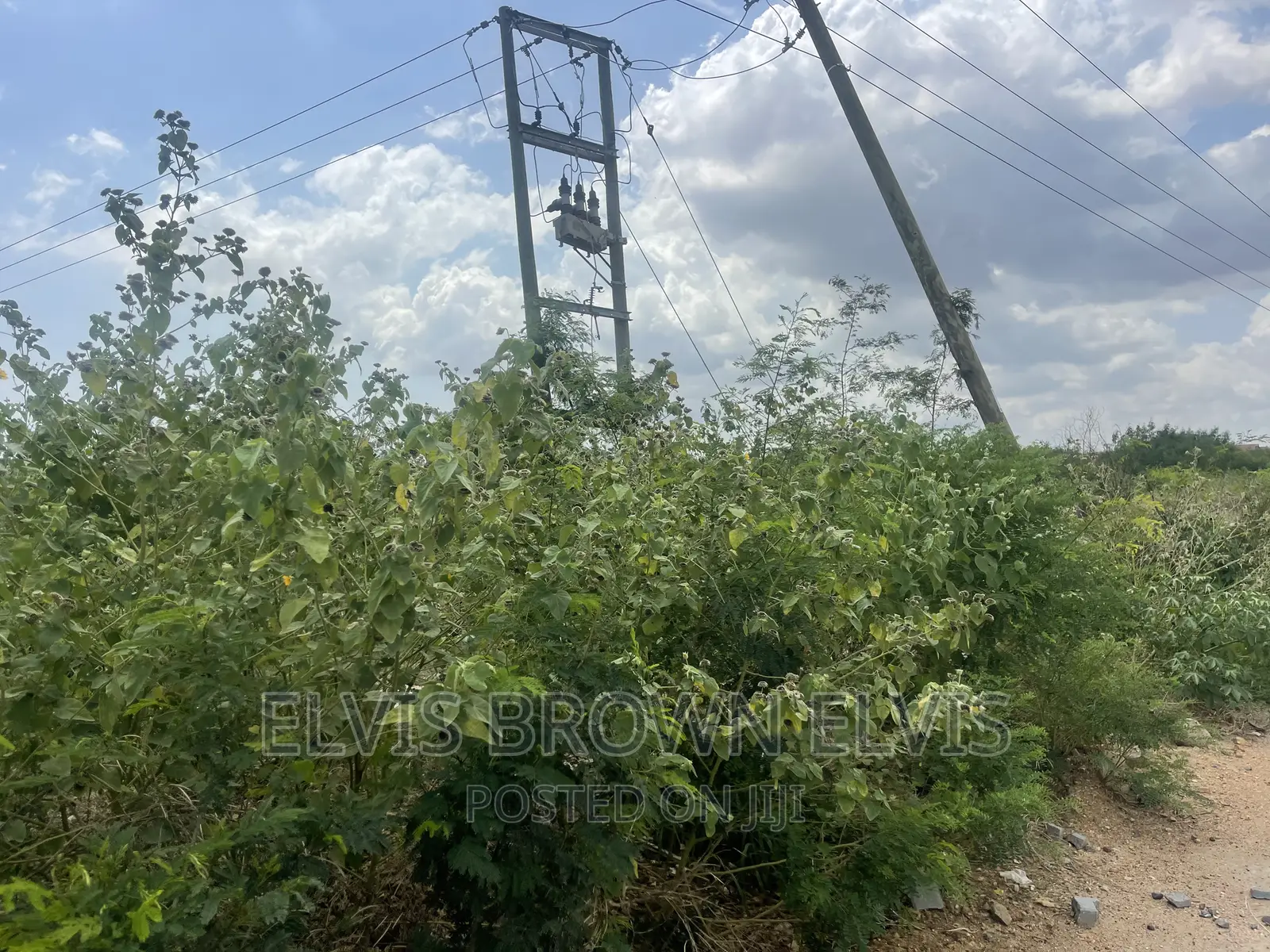 Xmas Promotion for Lands for Sale at West Trasacco in Ashaley Botwe