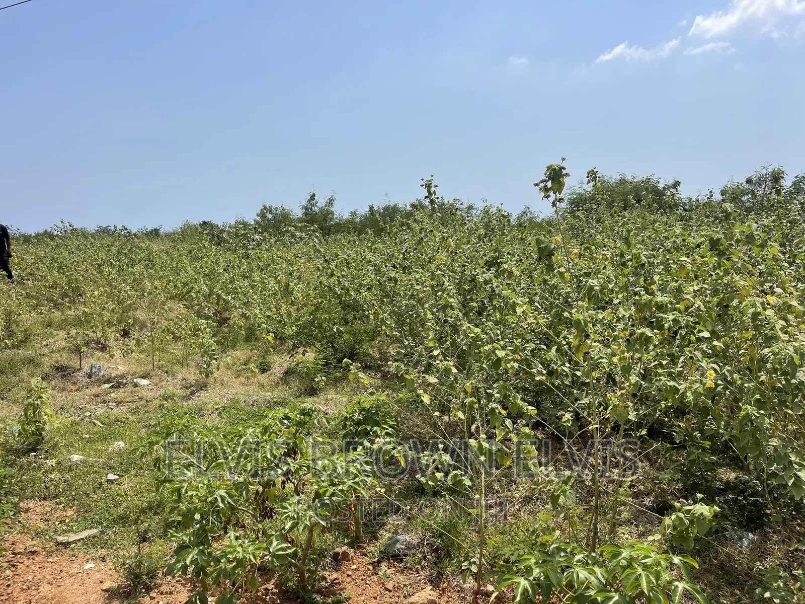 Xmas Promotion for Lands for Sale at West Trasacco in Ashaley Botwe