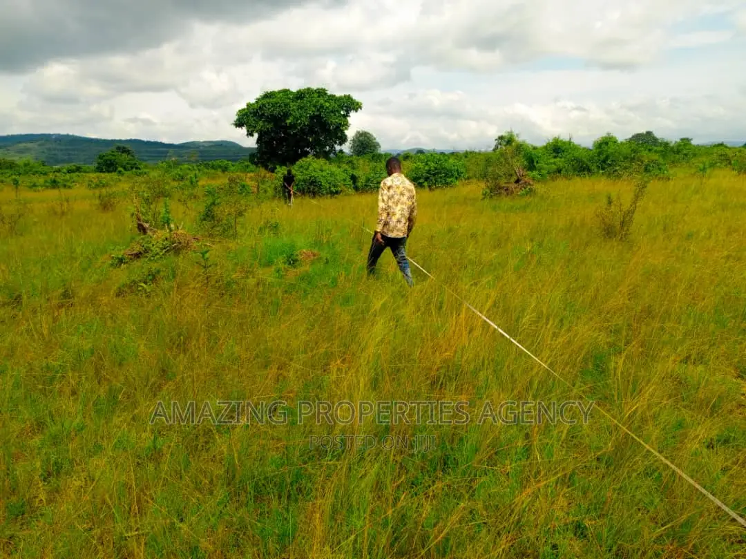 *Land Available for Sale at Appolonia* in Appolonia City