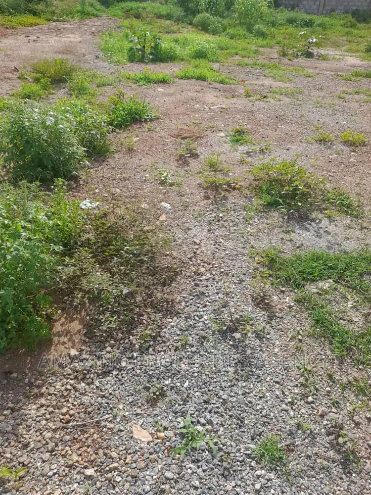 *Land Available for Sale at Appolonia* in Appolonia City
