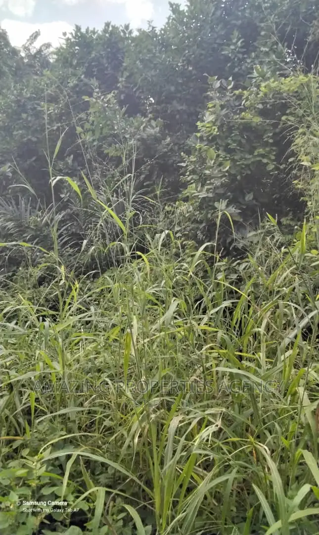 2200acres of Farm Land for Sale at Nsawam Teacher Mante in Accra Metropolitan