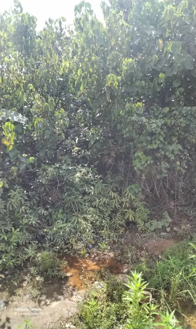 For Sale 200 Acres of Land at Omenako Suhum Road in Suhum/Kraboa/Coaltar