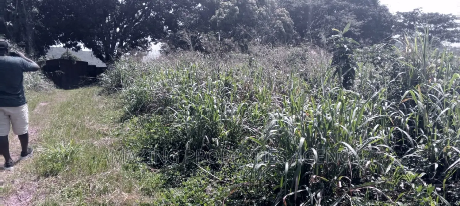60 Acres of Land at Akorle in Upper Manya Krobo