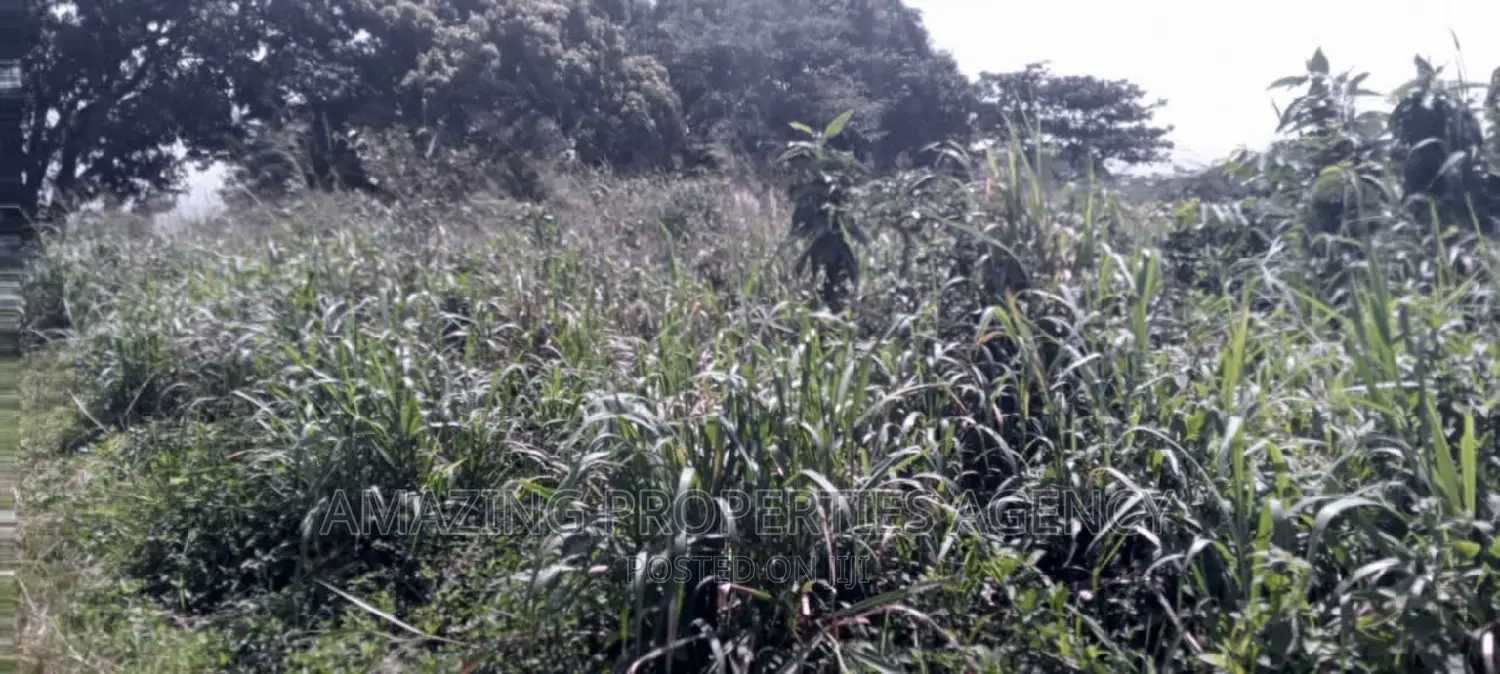 60 Acres of Land at Akorle in Upper Manya Krobo