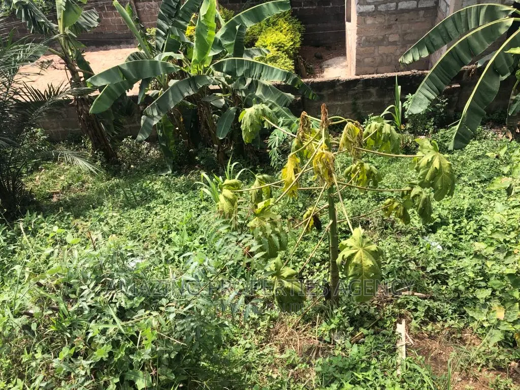 *Roadside Land Available for Sale Ridge* 1.34 Acre in Ridge